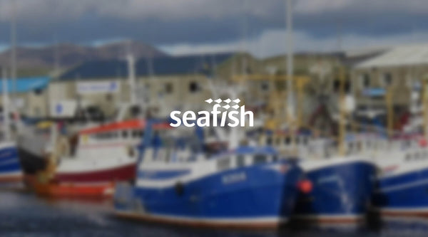 Catch Up With Marcus Seafish CEO